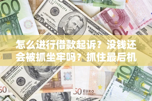 北京怎么进行借款起诉？没钱还会被抓坐牢吗？抓住最后机会！
