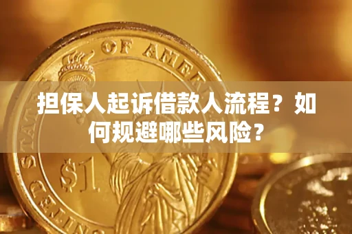 北京担保人起诉借款人流程？如何规避哪些风险？