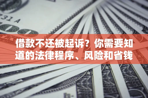 北京借款不还被起诉？你需要知道的法律程序、风险和省钱技巧