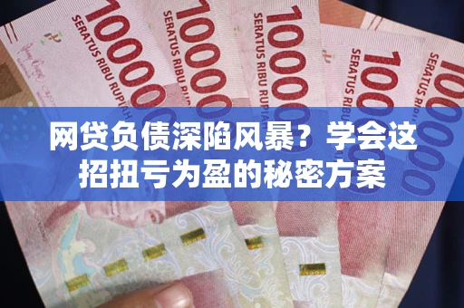 北京网贷负债深陷风暴？学会这招扭亏为盈的秘密方案