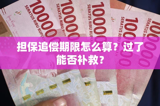 北京担保追偿期限怎么算？过了能否补救？